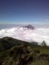 the view from the top of Mount Merbabu Royalty Free Stock Photo